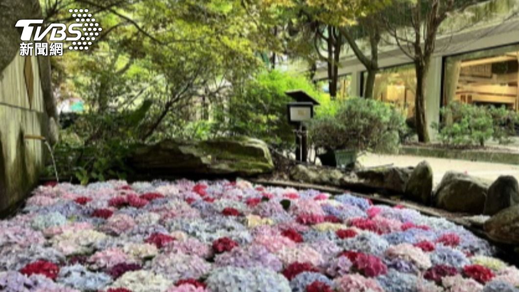 農場將繡球花放入水池內，宛如日本「花手水」，吸引民眾前往拍照。（圖／中央社）