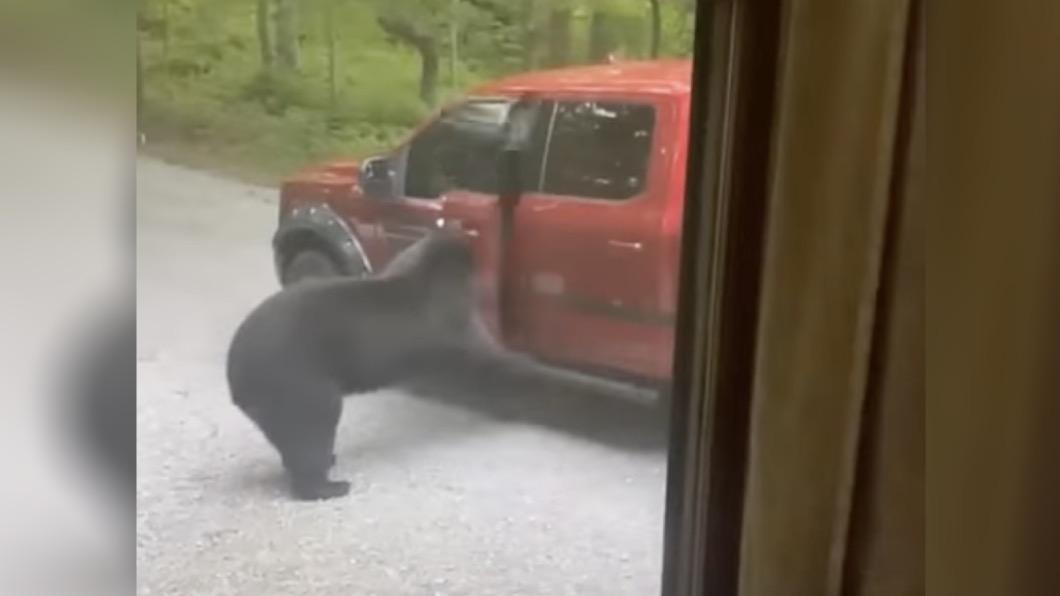 在美國田納西州的加特林堡發生了熊自己開門上車找食物的事件。（圖／翻攝自YT@ViralHog）