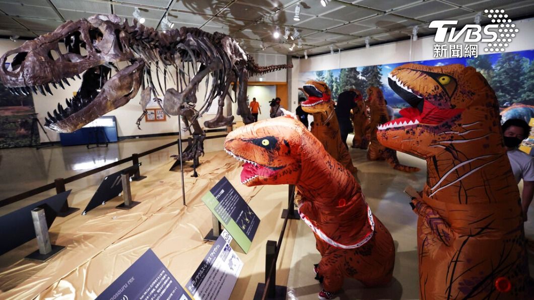 日本鳥取縣博物館邀民眾穿暴龍裝參觀展覽。（圖／達志影像美聯社）