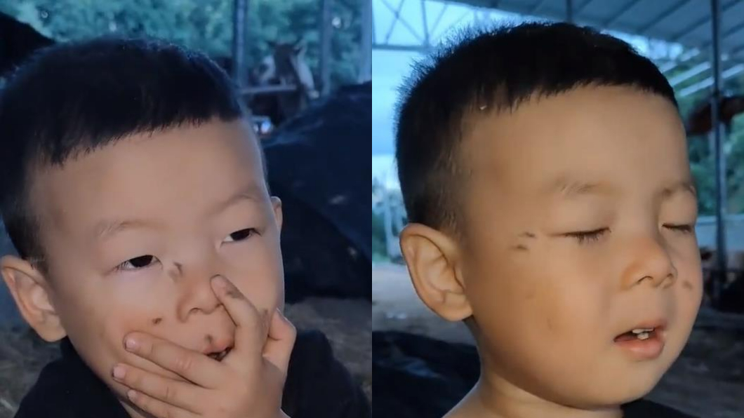湖北一名3歲男童擁有一項超狂蚊子召喚術技能。（圖／翻攝自網易新聞）
