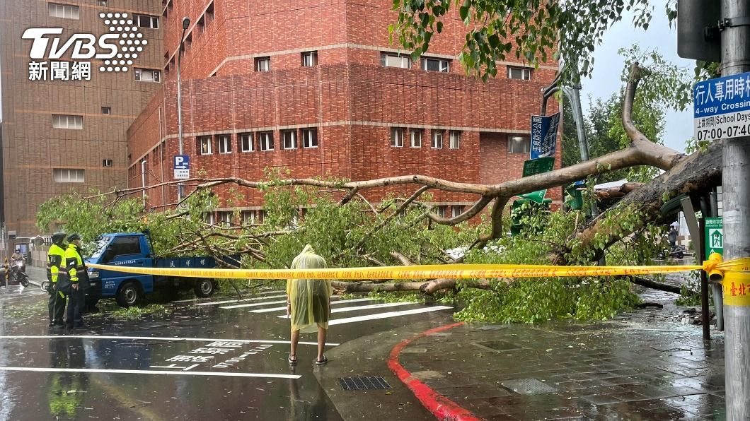 北市大雨釀忠孝國中校樹倒塌。（圖／TVBS）