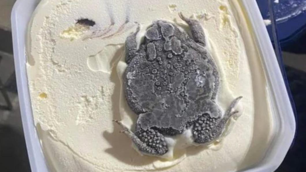 一隻完好蟾蜍被冰封在冰淇淋裡。（圖／翻攝自Tracy Wiemelt Holtman臉書）