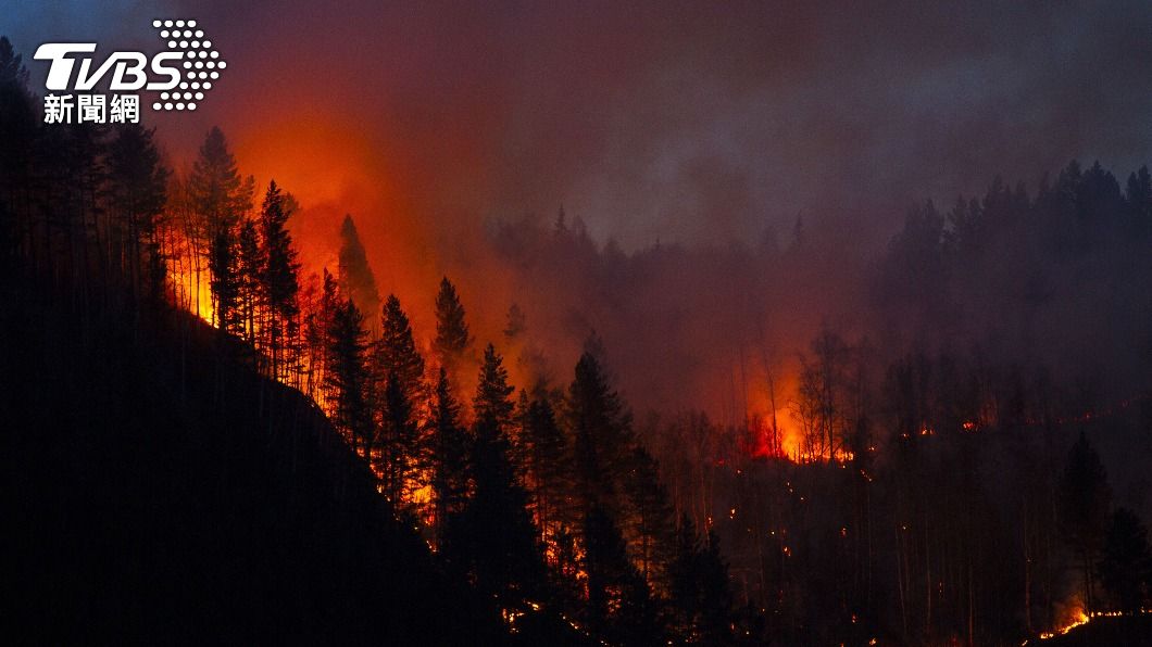 葡萄牙發生傷亡慘重的森林火災。（示意圖／shutterstock 達志影像）