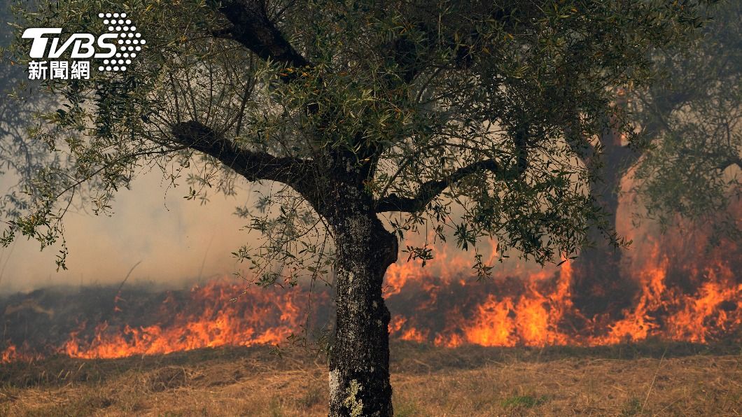 歐洲西南部天氣酷熱，野火處處燃燒。（圖／達志影像美聯社）
