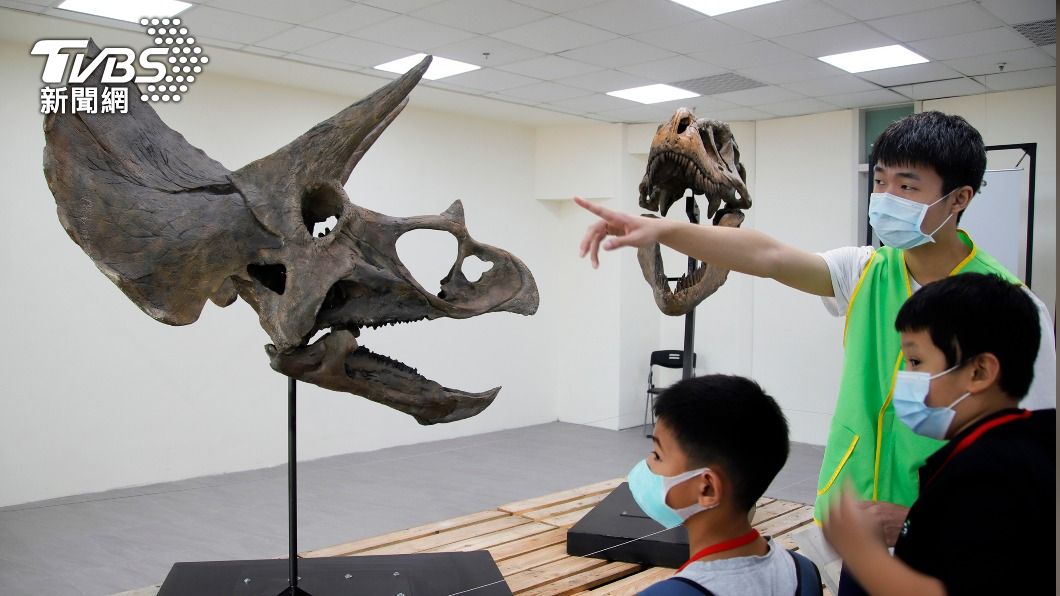 恐龍與彗星展 侏儸紀等8件古生物標本供觀賞