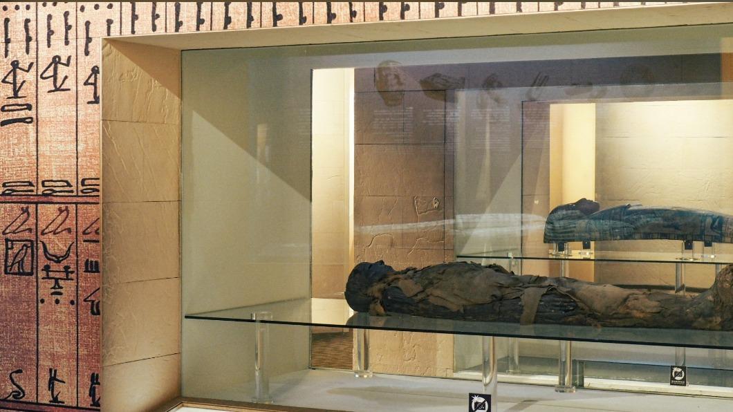 博物館證實木乃伊是真屍。（圖／翻攝自國立自然科學博物館臉書）