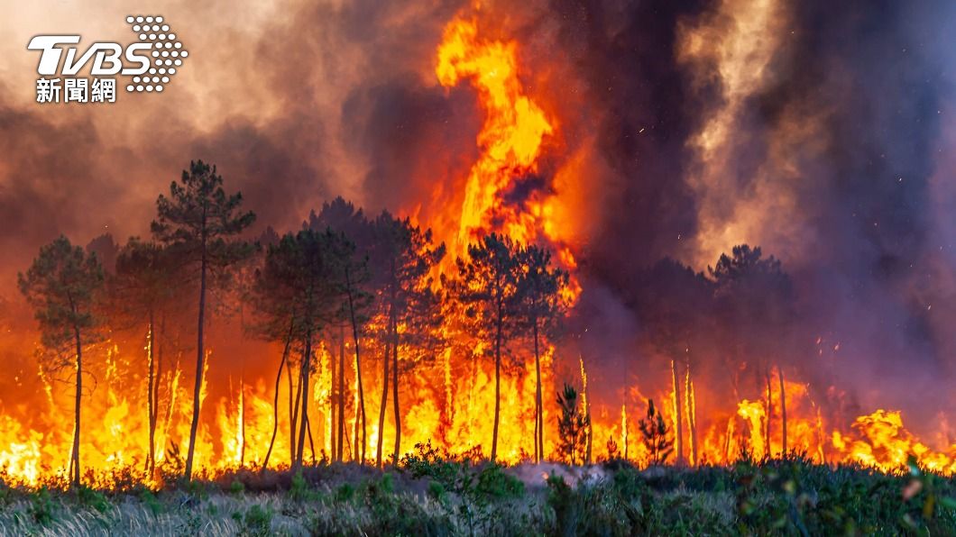 法國西南部森林大火不斷延燒。（圖／達志影像歐新社）