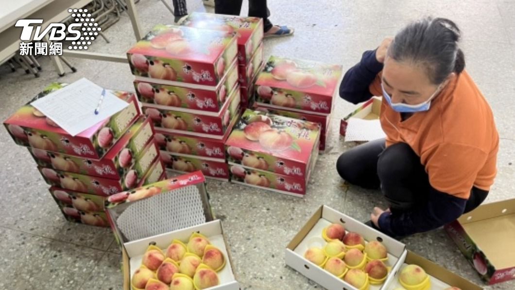 尖石鄉公所推出水蜜桃優惠活動。（圖／中央社）