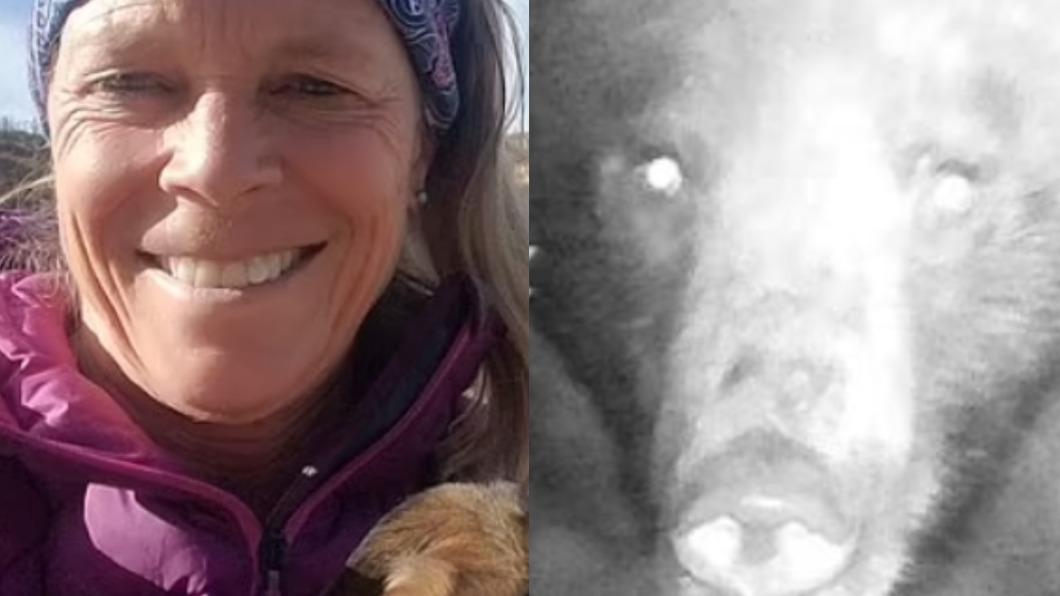 美國一名65歲女子去年在蒙大拿州露營時，因使用的果香洗髮精太像食物被野熊攻擊身亡。（圖／翻攝自 每日郵報）
