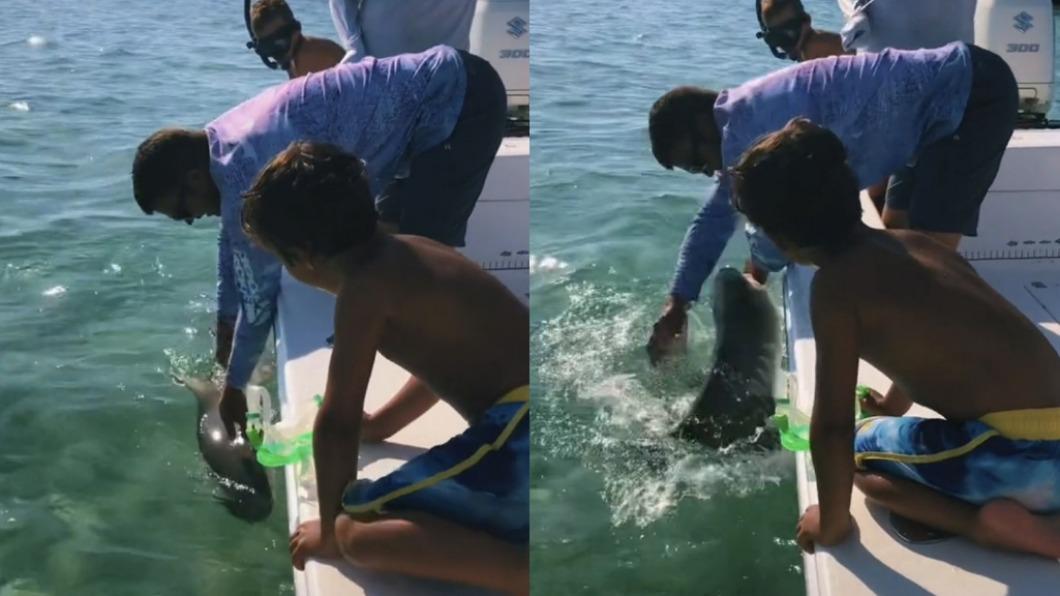 佛州老爸為了展示鯊魚給兒子看，勇敢徒手抓鯊被咬。（圖／翻攝自@reedermandyy TikTok）