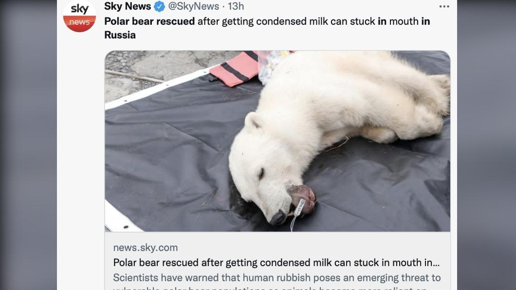 專家幫北極熊治療舌頭傷口，並給牠留下食物。（圖／翻攝自《Sky News》推特）
