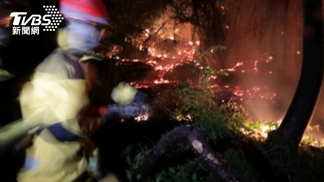 法國累積有3場森林火災起因是蓄意縱火。（圖／達志影像美聯社）