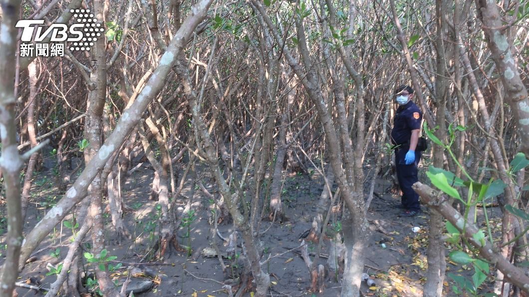 八里左岸紅樹林內昨日發現一具白骨，警方到場調查。（圖／TVBS）