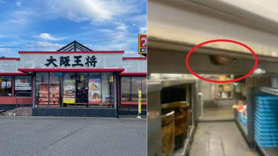 大阪王將餃子仙台店的員工爆料店鋪廚房有蛞蝓。（圖／翻攝自推特@korekore_shinon @itm_nlab）
