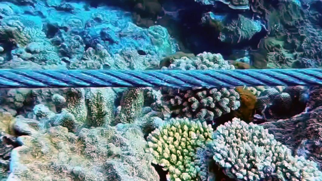 施工船錨鍊壓在珊瑚礁上，導致許多珊瑚礁遭破壞斷裂。（圖／劉昶孝提供）