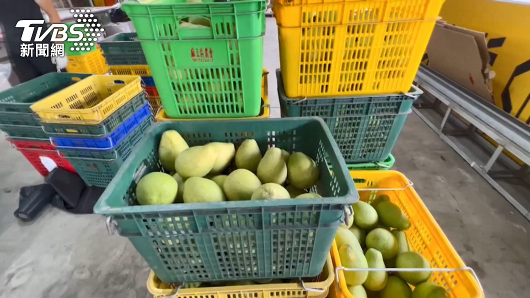 中國禁柑橘類水果輸入綠委挺柚農宣傳。（圖／TVBS）