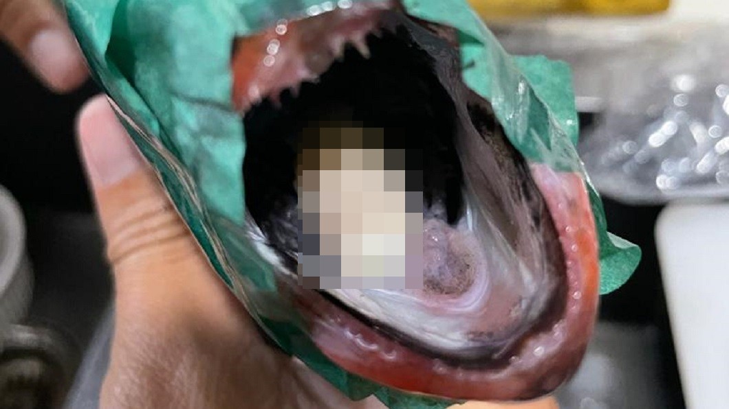 有網友分享日前購買的魚其嘴巴裡有一隻像是異形的詭異生物。（圖／翻攝自臉書社團「香港壽司刺身關注組」）