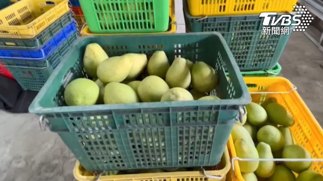 買柚子就能抽獎！（圖／TVBS資料畫面）