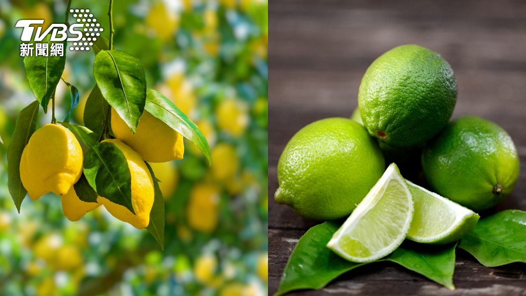 許多人分辨檸檬（左）跟萊姆（右）靠外皮顏色。（示意圖／shutterstock達志影像）