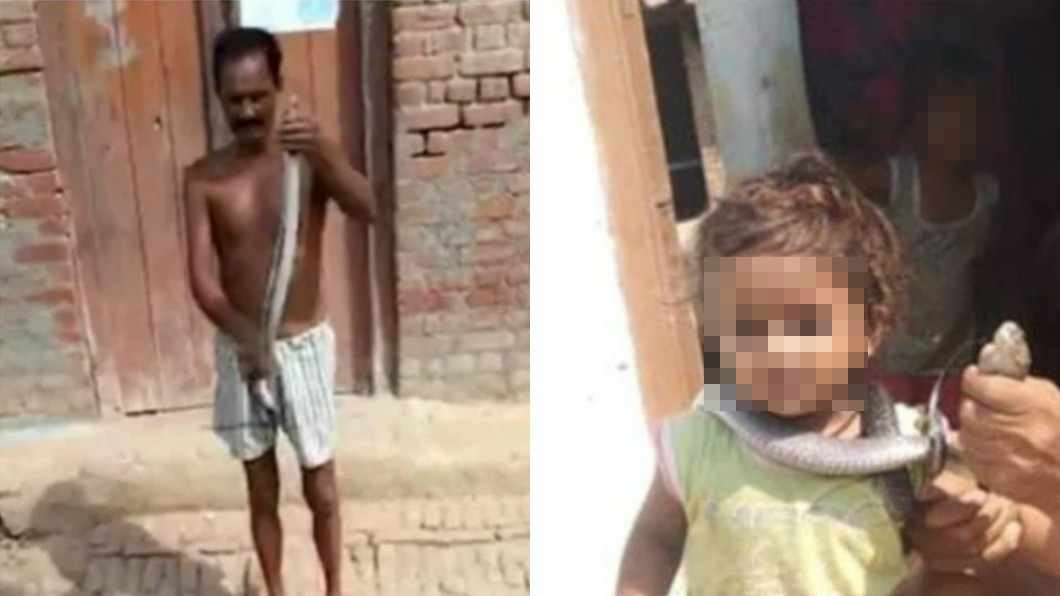 印度一名蛇王日前捕捉到毒蛇圍在脖子上在大街上炫耀結果下秒被蛇咬。（圖／翻攝自Hindustan UP-Bihar @HindustanUPBH）