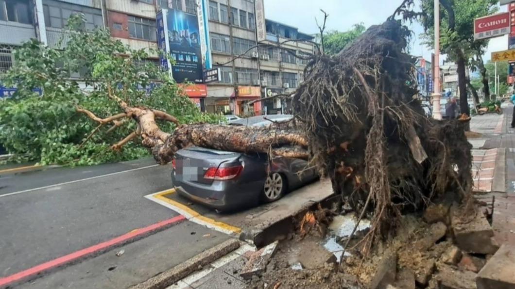 高雄午後狂風暴雨！建國路樹倒砸車。（圖／翻攝自記者爆料網）