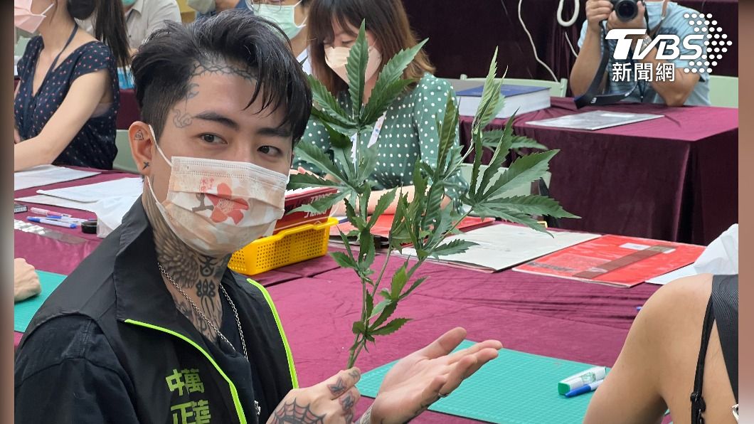 藝人謝和弦想參選台北市議員，力推大麻合法化。（圖／TVBS）