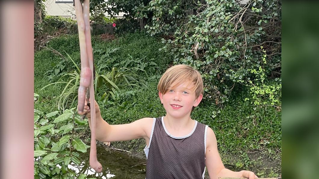 男童多米根在家附近溪流發現一公尺長的粗肥蚯蚓。（圖／翻攝自@CheckpointRNZ推特）