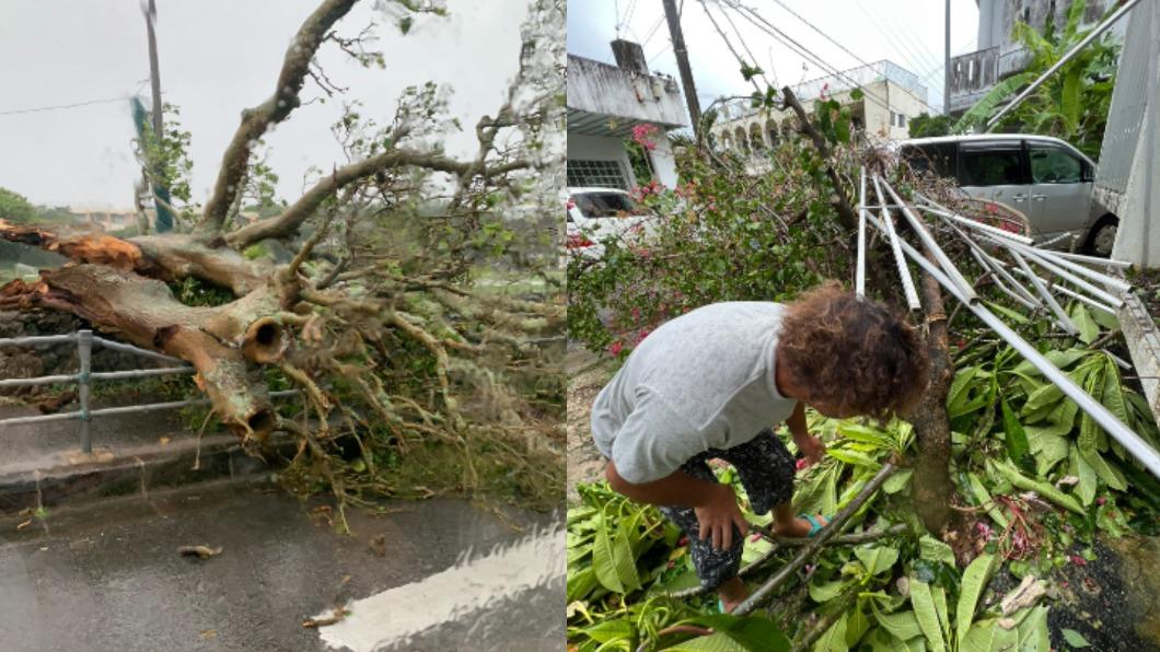 沖繩本島和離島許多路樹倒塌。（圖／翻攝自推特@mogura2009@kitaoka_yu）