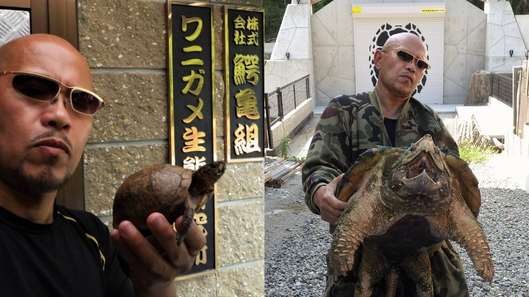 日本一名鱷龜研究所所長外型長得太凶狠常被誤認是壞人。（圖／翻攝自推特一般社団法人 ワニガメ生態研究所 @kanameogino）