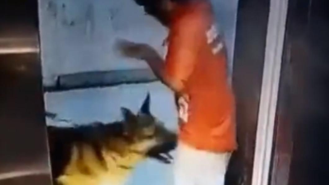 一名印度外送平台Zomato男性員工，在電梯外慘遭一隻德國狼犬（German Shepherd）突襲。（圖／翻攝自推特）