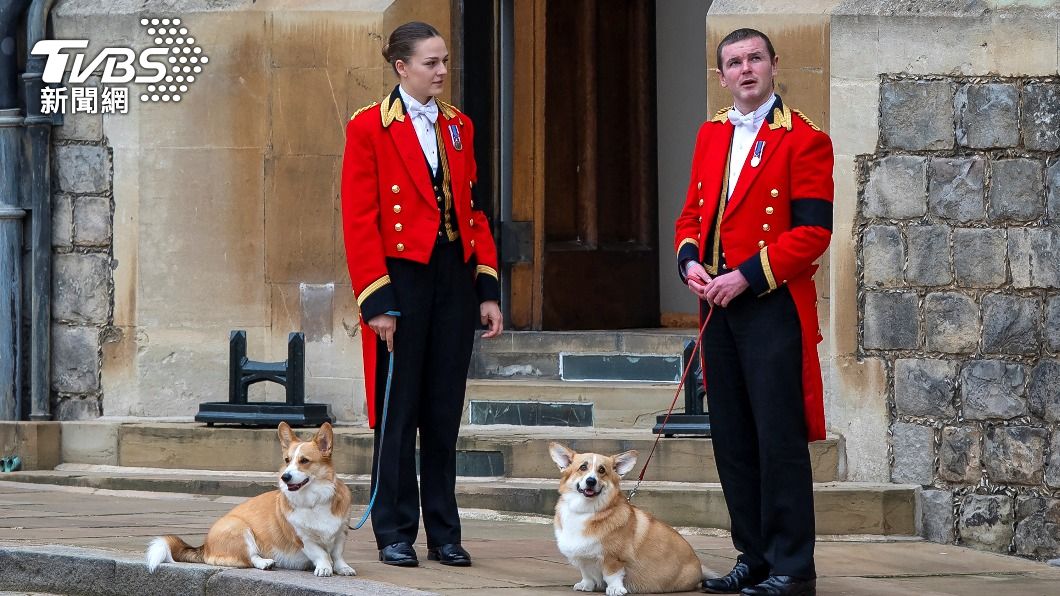 英國女王的愛犬「穆伊克」和「珊迪」。（圖／達志影像路透社）