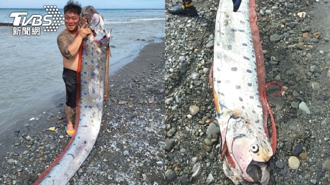 今年6月有民眾在台東釣到罕見的巨型地震魚。（圖／民眾提供）