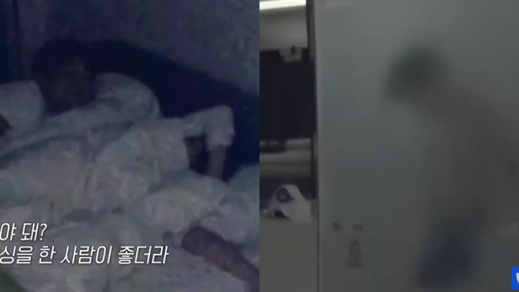 韓國全新戀愛綜藝節目《只是睡覺的關係》未開播就惹議。（圖／翻攝自wavve YouTube）