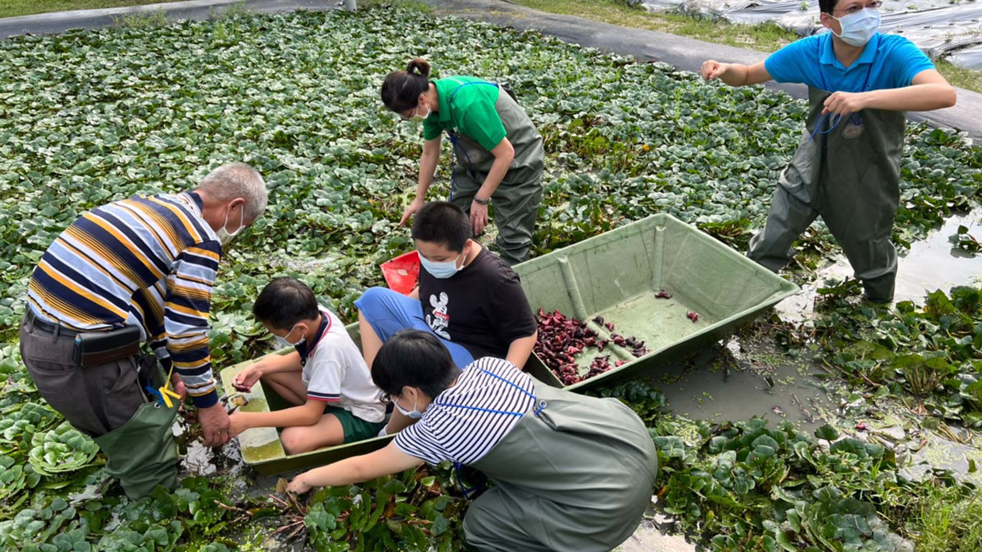 《餐盤上的公民課》由國立教育廣播電臺，張毓芹，劉文珍，田志興，林祺宏，徐恩容，趙佳韻製作，獲得第六屆《全球華文永續報導獎》專業組音頻類首獎