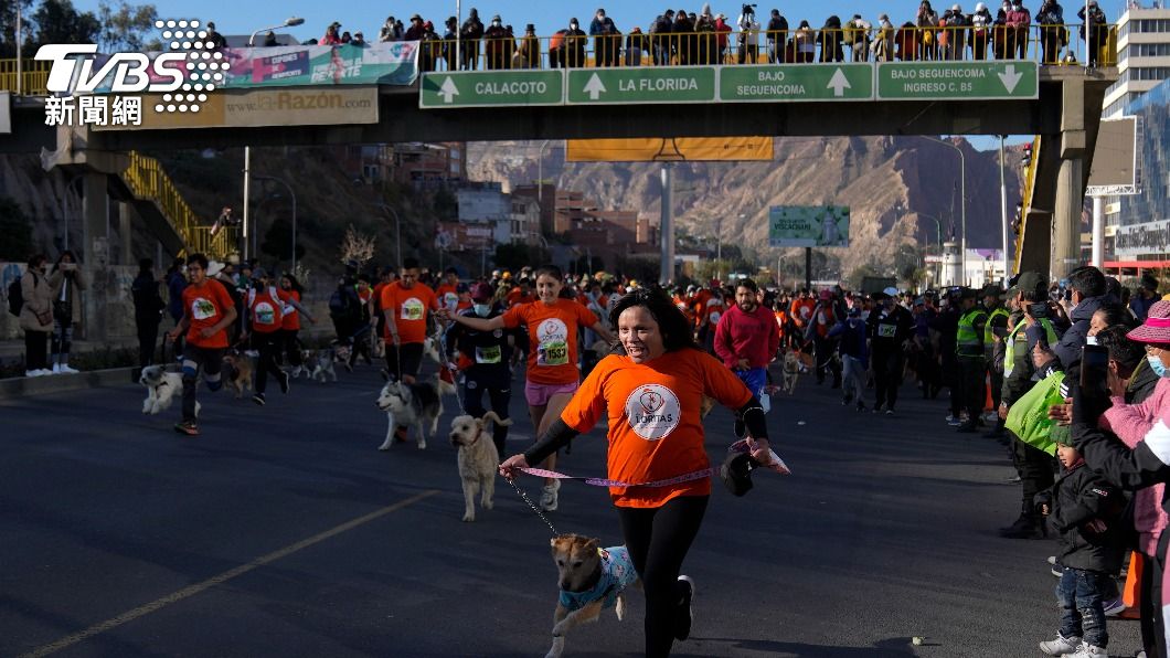 西班牙昨日有逾5000組毛孩和飼主參與狗拉松活動。（圖／達志影像美聯社）