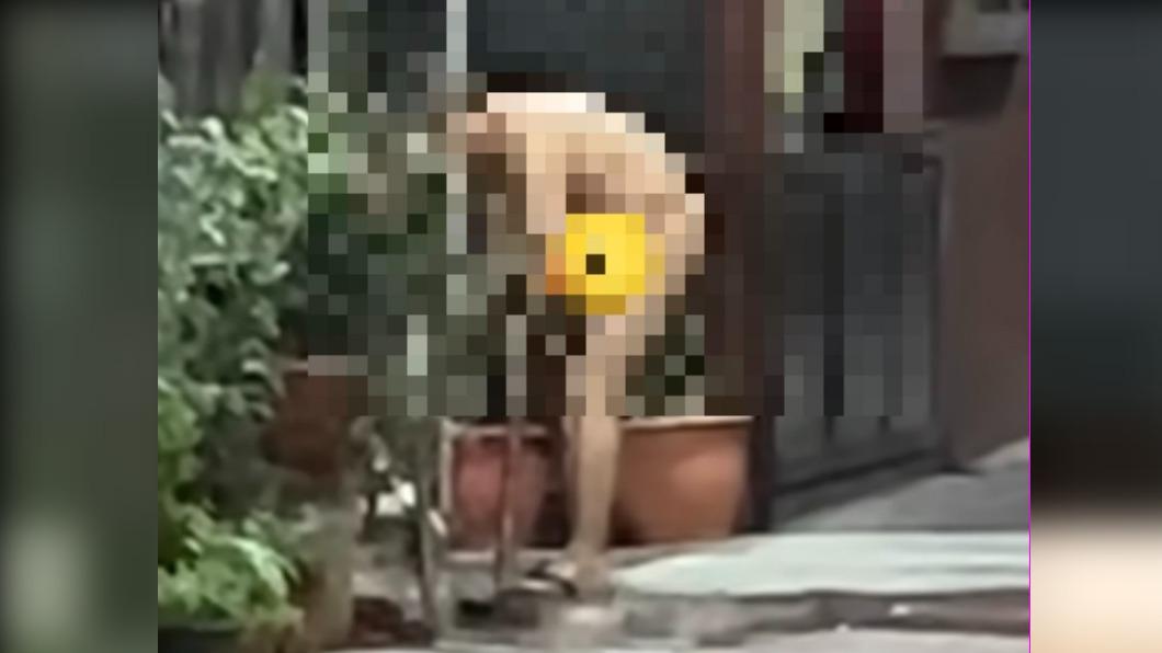 目擊民眾拍下男子全裸洗澡的過程。（圖／翻攝臉書愛新莊我是新莊人）