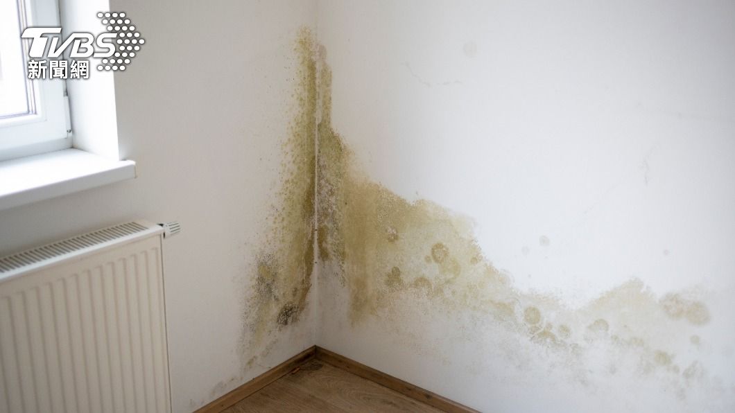室內濕度過高，黴菌就會找上門來。（示意圖／shutterstock達志影像）