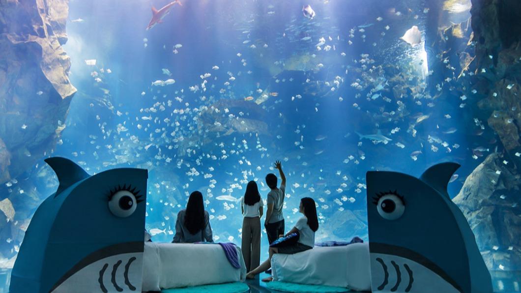 「Blu Night宿海奇遇」首度推出「6人成團超值組」57,000元，及「15人成團超值組」。（圖／國泰飯店觀光事業提供）