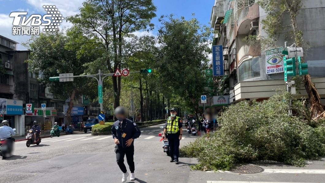 松山區今日中午傳出路樹倒塌，幸未造成人員傷亡。（圖／TVBS）