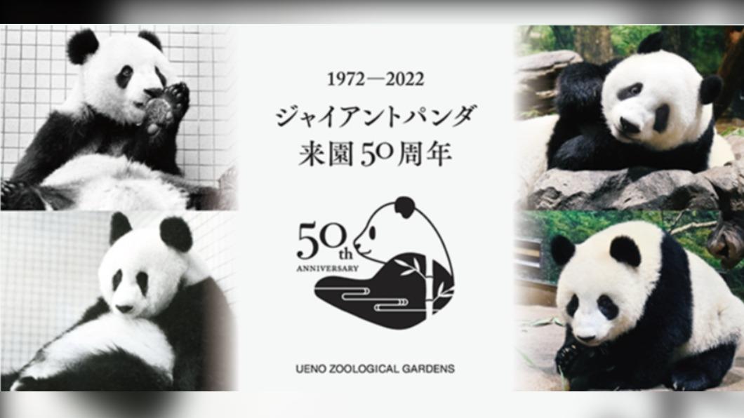 迎接貓熊50年，上野動物園舉辦系列活動。(圖/ 翻攝 上野動物園 官網)