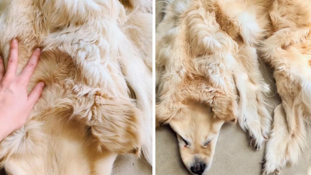 國外有飼主將過世的愛犬毛皮做成地毯。（圖／翻攝自chimerataxidermy IG）