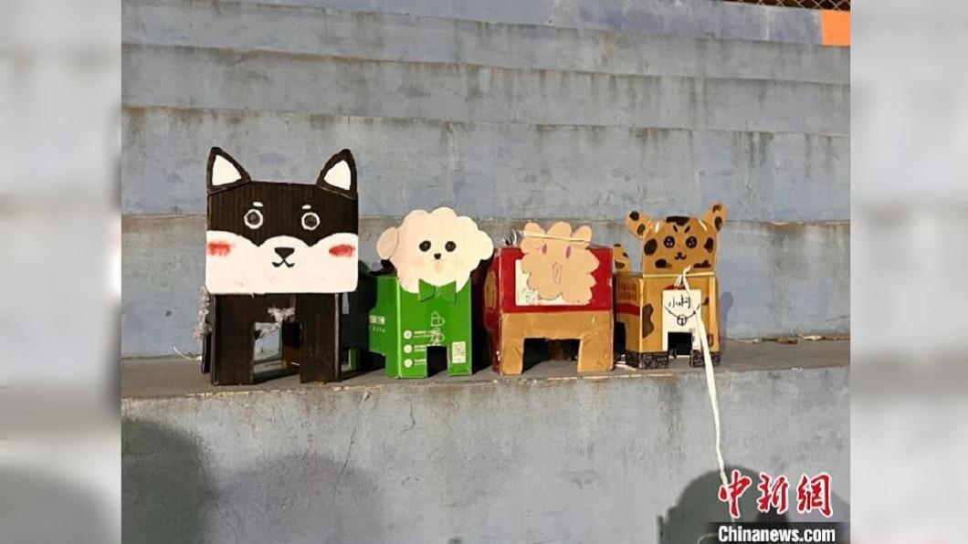 「紙盒狗」是中國大學生的新型寵物。（圖／翻攝自中新網）