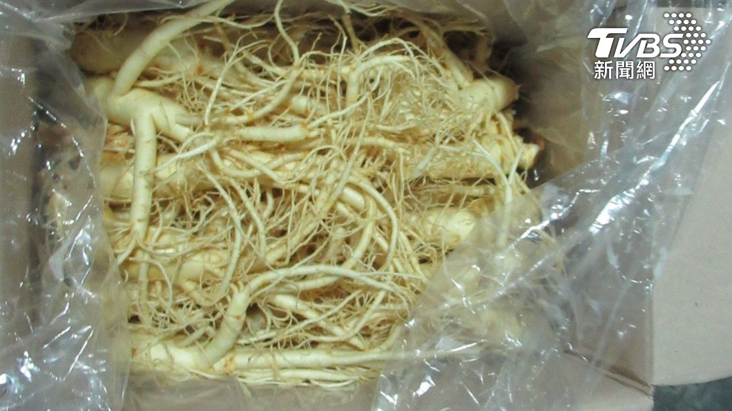 「韓國生鮮人參(FRESH GINSENG)」。（圖／食藥署提供）