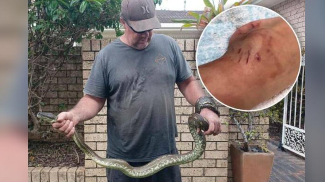 澳洲驚傳5歲童遭3公尺蟒蛇攻擊。（圖／翻攝自3aw）