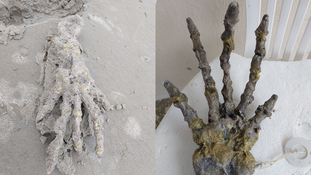 巴西一對情侶日前在海灘上發現一隻超巨大怪手。（圖／翻攝自臉書Leticia Gomes Santiago）