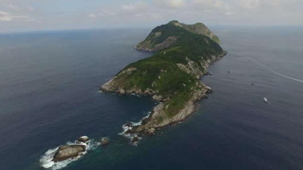 位於巴西外海的大凱馬達島，又有著「蛇島」的稱號。（圖／翻攝自推特）