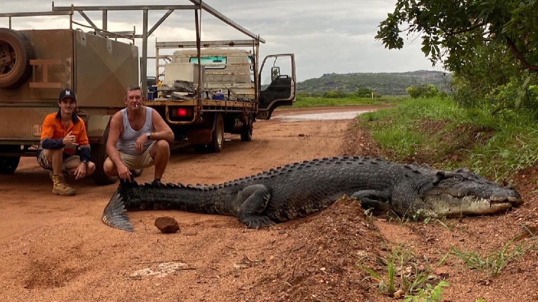 澳洲一名男子路上看到巨鱷竟突發奇想與同事下車和鱷魚合照。（圖／翻攝自臉書）