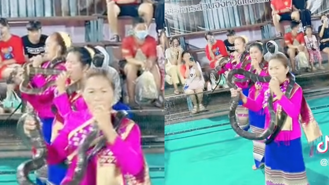 泰國舞姬用嘴巴「喇蛇」嚇壞不少網友。（圖／翻攝自TikTok）