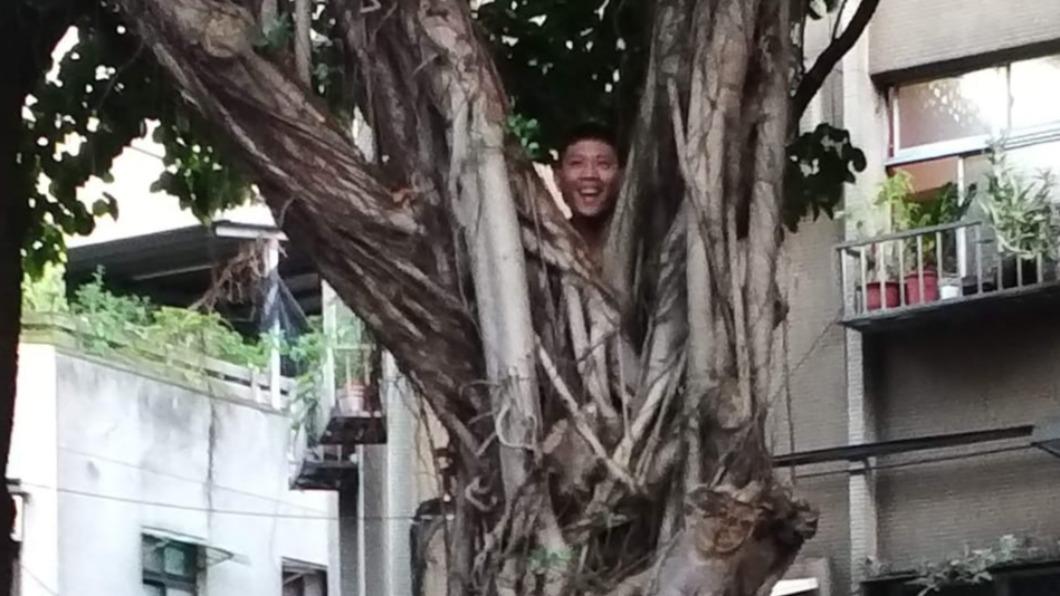 丈夫陪兒子玩捉迷藏，自己躲到樹上。（圖／翻攝自爆廢公社二館臉書）