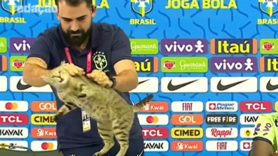[新聞] 世足／哪來的貓？巴西新聞官直接「扔」下